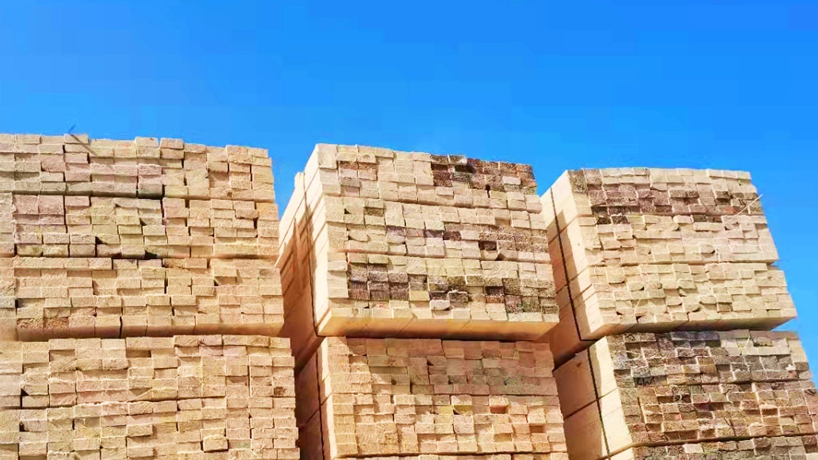 行业领先的技术团队